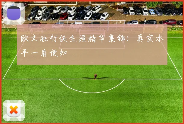 欧文独行侠生涯精华集锦：真实水平一看便知