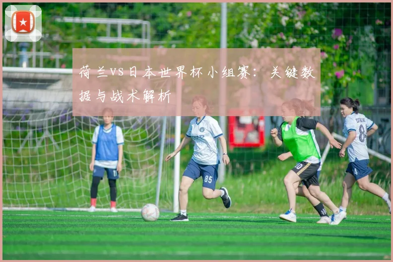 荷兰vs日本世界杯小组赛:关键数据与战术解析